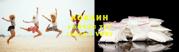 прущая мука Дмитриев