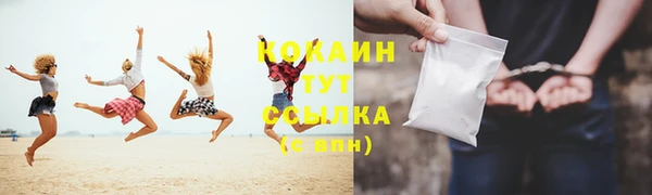 прущая мука Дмитриев
