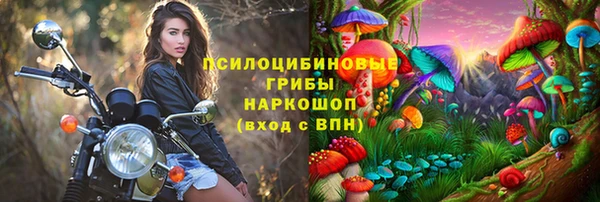 мяу мяу кристалл Дмитров