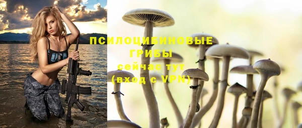 не бодяженный Дмитровск