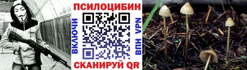 Псилоцибиновые грибы Psilocybe KRAKEN как войти Дюртюли